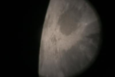 img_7377.jpg